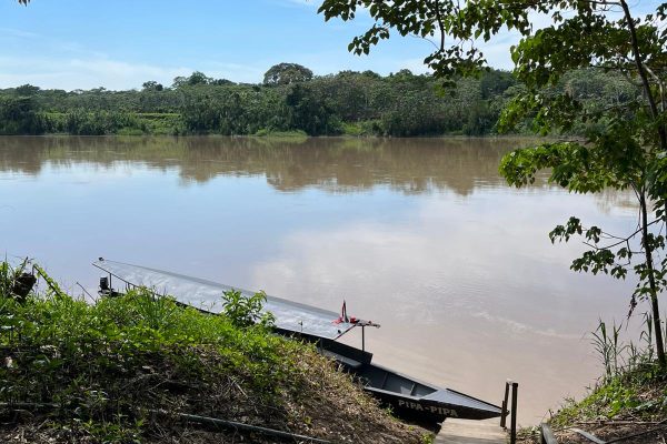 WhatsApp Image 2025-11-11 at 15.11.00_b788a29a (1) WhatsApp Image 2025-11-11 at 15.11.00_b788a29a (1)